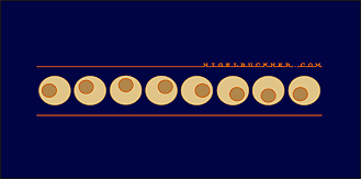 nigelbuckner.com 2005 - 2007