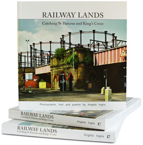 Railway Lands book cover