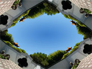 Photo editing and manipulation